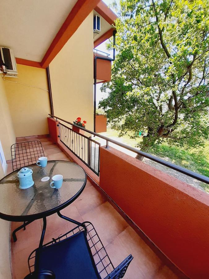 Apartment Macic Dub I Cattaro Esterno foto