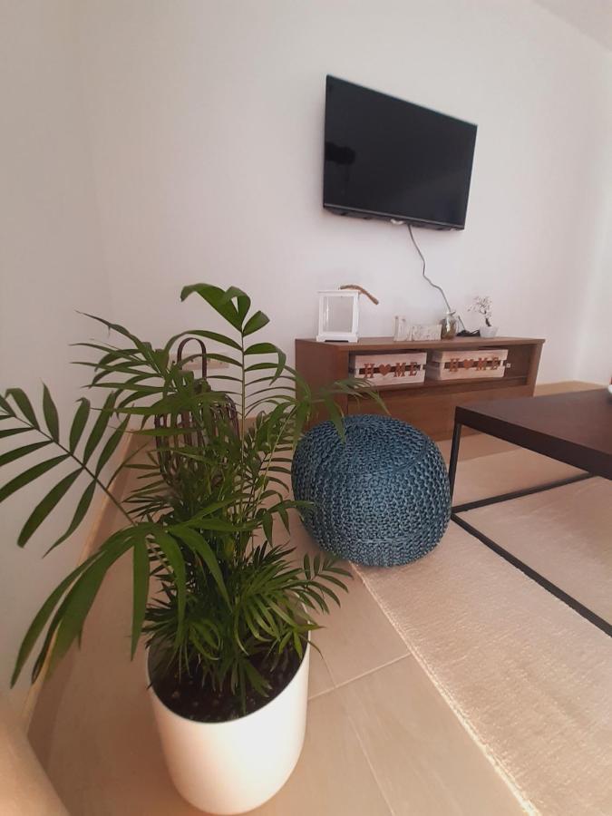 Apartment Macic Dub I Cattaro Esterno foto